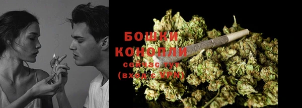 МДПВ Вяземский