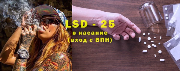 амф Горняк