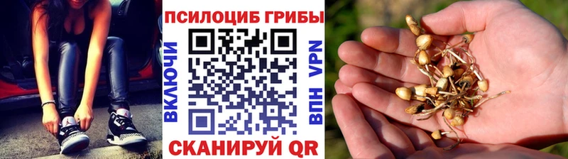 Псилоцибиновые грибы мухоморы  Еманжелинск 